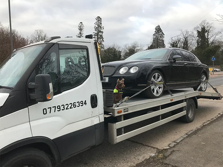 Professional vehicle recovery service in action.