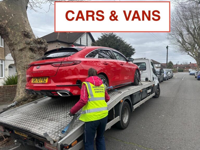 cfd23331-d231-44f1-ae22-340f15f5c39a