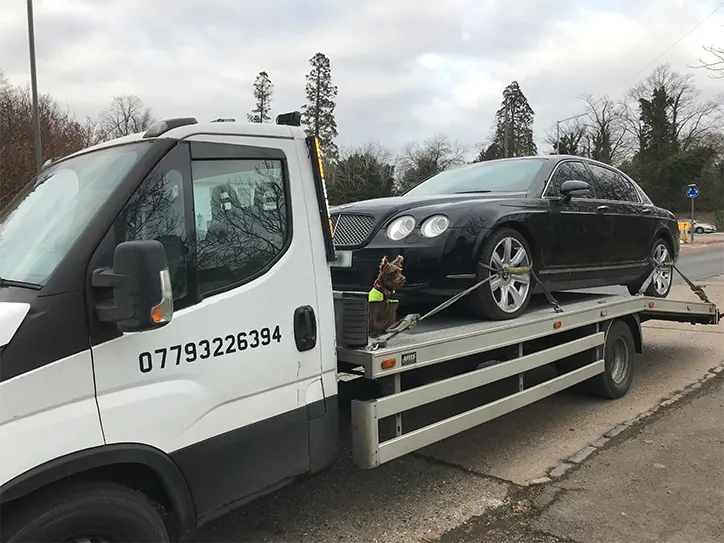 A black Bentley luxury sedan secured on a white recovery truck being transported for vehicle repairs, featuring a small dog in a high-vis vest on the flatbed.